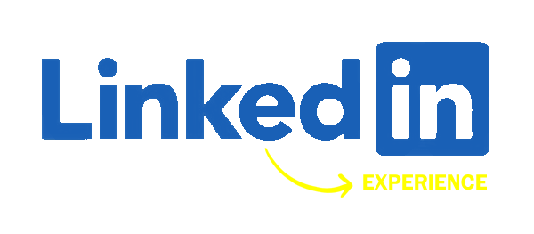 linkedIn-experience-azul